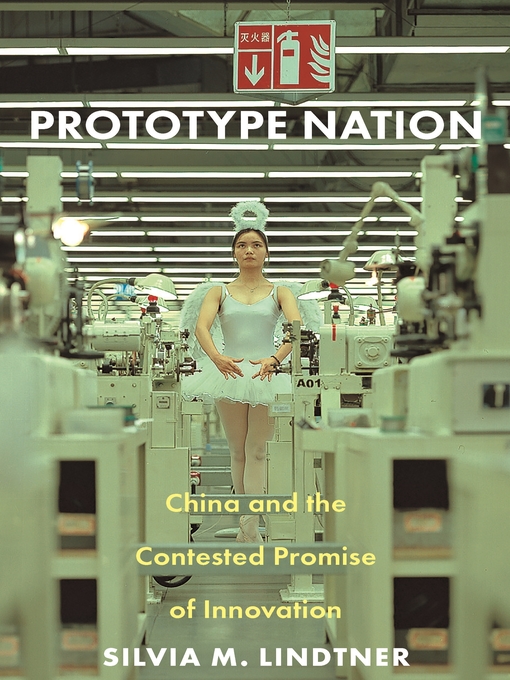 Title details for Prototype Nation by Silvia M. Lindtner - Available